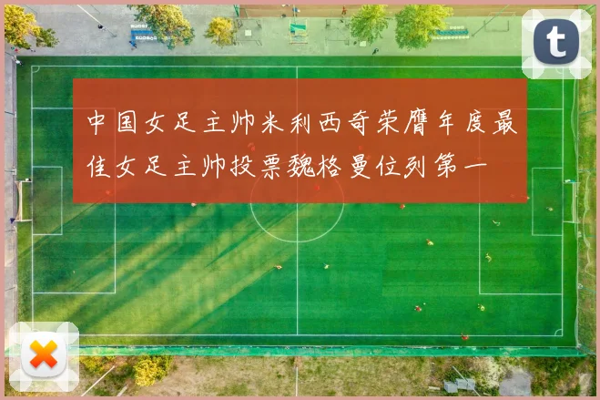 中国女足主帅米利西奇荣膺年度最佳女足主帅投票魏格曼位列第一