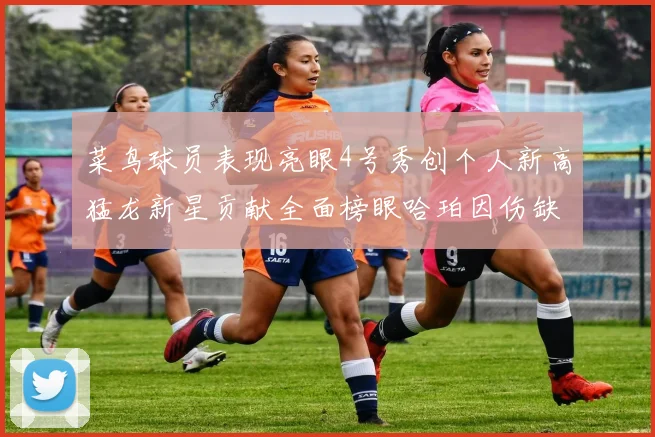 菜鸟球员表现亮眼4号秀创个人新高猛龙新星贡献全面榜眼哈珀因伤缺阵