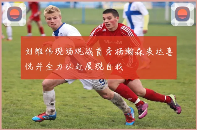 刘维伟现场观战首秀杨瀚森表达喜悦并全力以赴展现自我