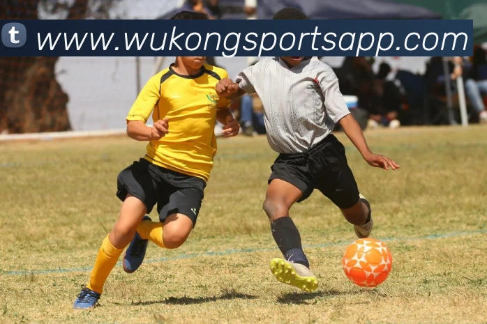 悟空体育品牌故事