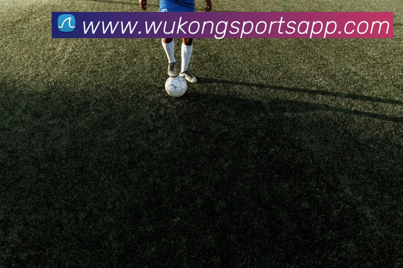 悟空体育服务体系