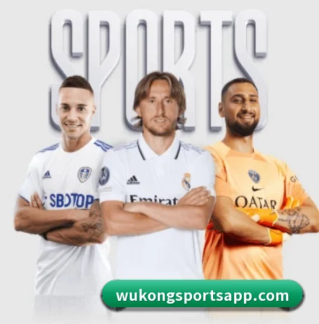 悟空体育围绕看球场景设计的核心服务(WukongSports)