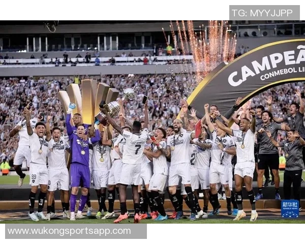 南美解放者杯决赛球队的巴西统治力近十年显著体现 南美解放者杯决赛球队的巴西统治力近十年显著体现